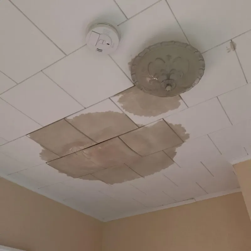 Ceiling Water Damage Repair in Coshocton County, OH