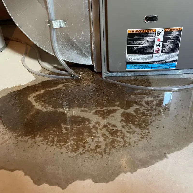 Pipe Burst and Leak Restoration in Coshocton County, OH