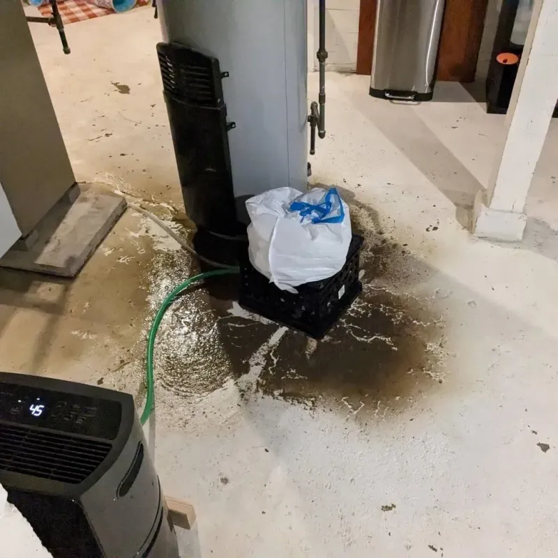 Sewage Backup Cleanup Service in Coshocton County, OH